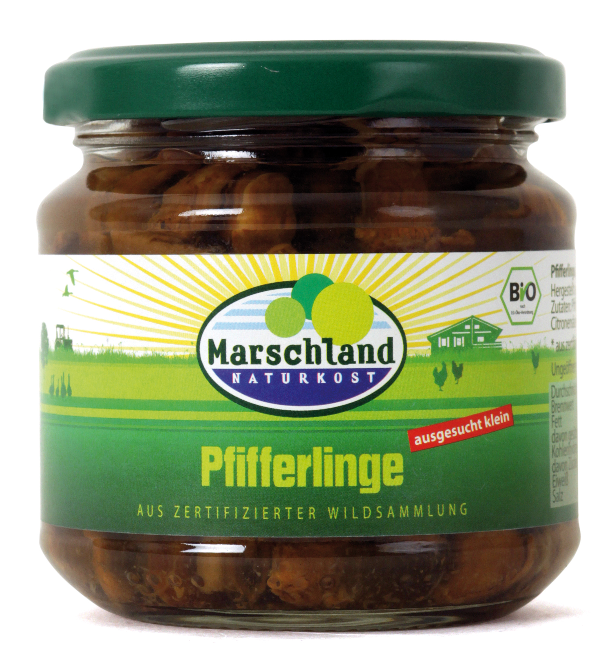 Pfifferlinge ganz, ausgesucht klein, im Glas Marschland